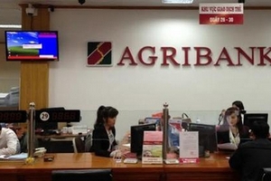 Agribank bán hàng loạt 'đất vàng' tại TP HCM để xử lý nợ xấu