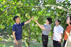 Tuyên Quang: Phát huy vai trò chủ thể của nông dân trong phát triển nông nghiệp và xây dựng nông thôn mới