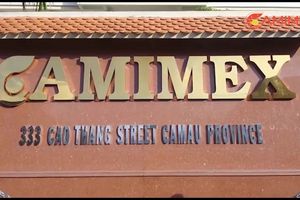 Camimex Group dự kiến phát hành 9 triệu cổ phiếu chia cổ tức