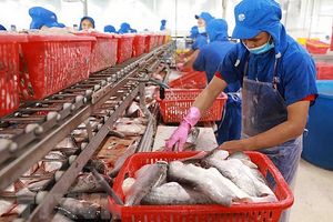 Xuất khẩu cá tra tháng 6/2023 đã có tín hiệu khả quan
