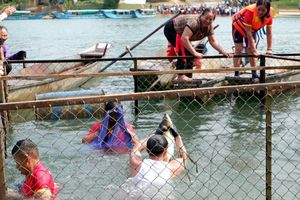 Quảng Bình: Đặc sắc hội thi cá trắm ở miền Di sản Thiên nhiên thế giới