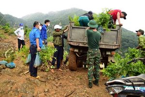 Hành trình trồng cây “vì Việt Nam xanh”