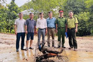 Người dân Hà Tĩnh tự nguyện giao nộp nhiều động vật quý hiếm