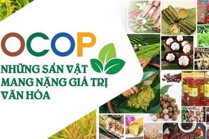 Sản phẩm OCOP - động lực phát triển kinh tế nông thôn