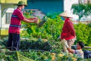Festival Nông sản Việt Nam năm 2023: Giải pháp nâng tầm giá trị hàng nông sản Việt Nam