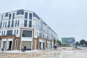Thanh Hóa: Hơn 29.000 m2 đất công giao cho Công ty Hải Hà không qua đấu giá