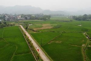 Đà Bắc chuyển mình mạnh mẽ, kiến tạo diện mạo mới năm 2026