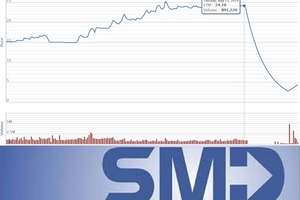 Cổ đông FTM, SMD Holdings, công ty chứng khoán và miếng gân gà trên bàn tiệc