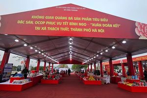 Hà Nội: Khai mạc Không gian quảng bá sản phẩm tiêu biểu, đặc sản, OCOP phục vụ Tết Bính Ngọ 2026