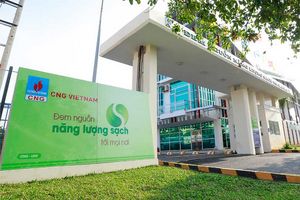 CNG Việt Nam tăng trưởng 64% doanh thu trong quí 2/2021