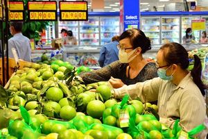 Thêm thị trường cho hàng hóa Việt Nam thông qua các FTA mới