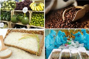 Rau quả, gạo, cà phê: "đầu tàu" dẫn dắt xuất khẩu nông sản Việt Nam