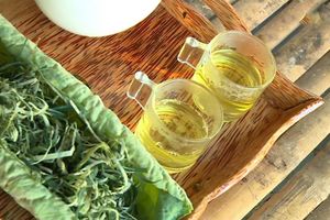 10 công dụng tốt cho sức khoẻ của trà lá sen