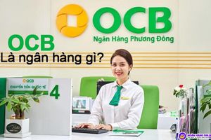OCB: Ngân hàng đa dạng hóa hoạt động thúc đẩy ROE