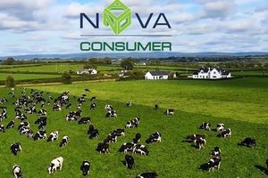 HOSE dừng xem xét hồ sơ đăng ký niêm yết của Nova Consumer (NCG)