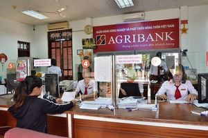 Kế hoạch kinh doanh Agribank 2020: Mục tiêu lãi trước thuế tối thiểu 12.200 tỉ đồng, tập trung mọi nguồn lực để cổ phần hóa