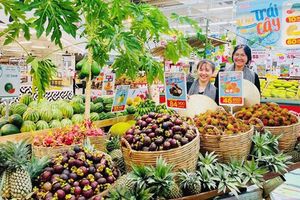Thị trường Trung Quốc mở rộng, cơ hội vàng cho nông sản Việt