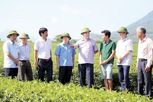 Phú Thọ: Huyện Thanh Sơn thực hiện tốt việc phát triển sản xuất nông nghiệp giữa đại dịch Covid - 19