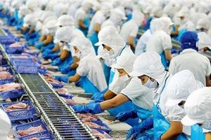 Vĩnh Hoàn  (VHC) rót thêm 158 tỷ đồng vào TNG Foods