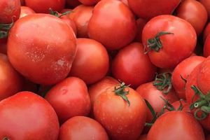 Bản tin tiêu dùng ngày 17/12: Cà chua tăng giá chóng mặt