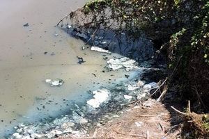 Bắc Ninh: Xử phạt doanh nghiệp gây ô nhiễm môi trường 200 triệu đồng