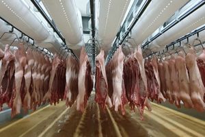Quý 1/2023 xuất khẩu thịt và các sản phẩm từ thịt của Việt Nam tăng 70,3% về lượng so với cùng kỳ