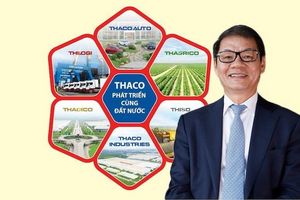 Thaco Group báo lãi 1.011 tỷ đồng sau 6 tháng đầu năm 2024