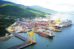 Cảng Đà Nẵng (CDN) đạt doanh thu 584 tỷ đồng sau 6 tháng đầu năm 2023