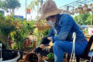 Nghệ An: Làng nghề trồng hoa được đầu tư chợ hoa lớn nhất vùng