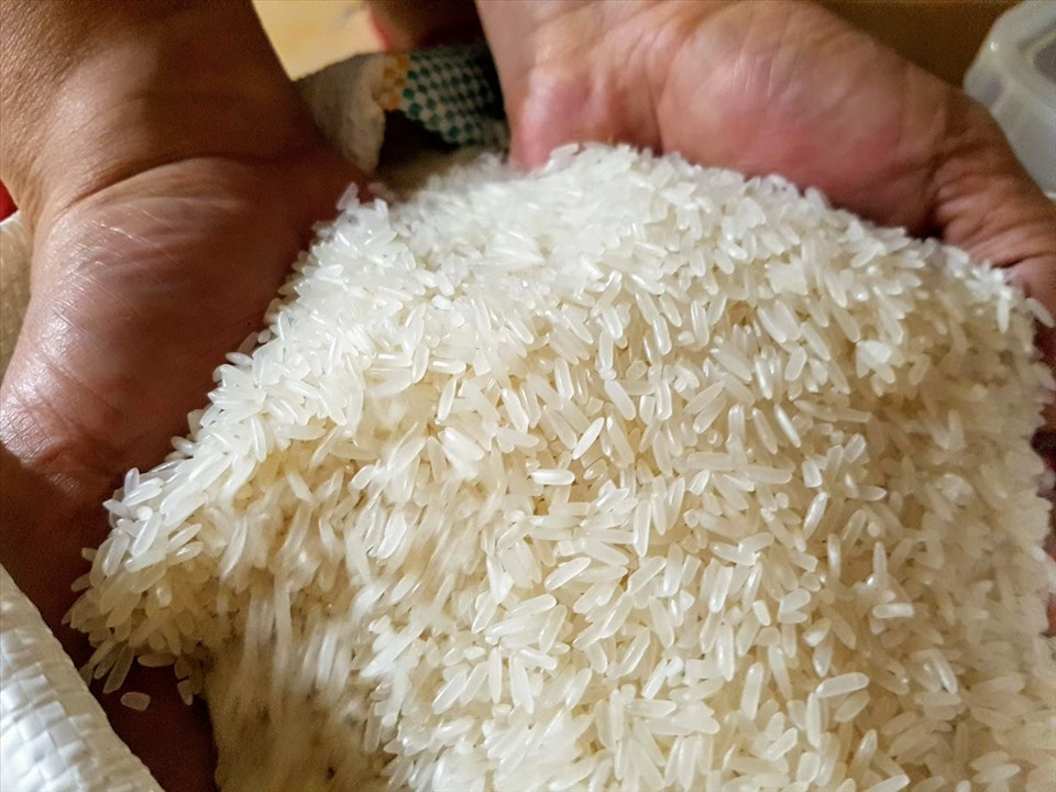 Giá gạo xuất khẩu Việt Nam cao nhất nhưng vẫn giữ thế cạnh tranh