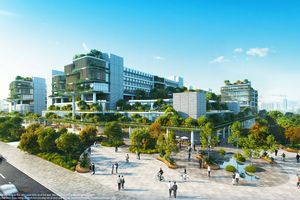 5.000 runners đếm ngược tới ngày “detox phổi” tại “mỏ oxy khổng lồ” của TP.HCM