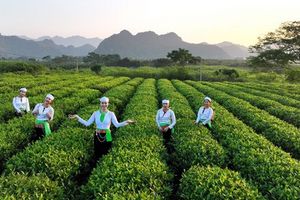 Nông lâm thủy sản Việt Nam bứt phá: Tăng trưởng vượt bậc, giá trị sản phẩm tăng mạnh