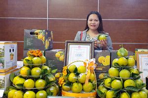 Hà Tĩnh: Sắp diễn ra Lễ hội cam và các sản phẩm nông nghiệp lần thứ 6