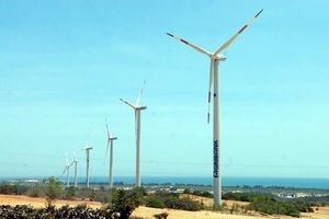 Đầu tư hơn 8.900 tỷ đồng xây dựng cụm trang trại điện gió ở Quảng Bình