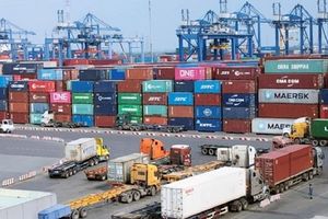 Tổng trị giá xuất nhập khẩu của Việt Nam đạt 62,08 tỷ USD trong tháng 8