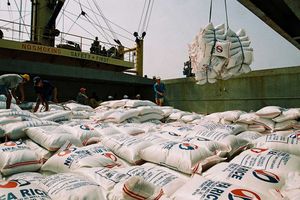 Xuất khẩu gạo của Việt Nam trong quý I năm 2023 đạt mức cao nhất trong 12 năm trở lại đây