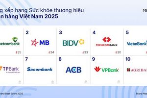 Bức tranh thương hiệu ngân hàng 2025: Sự dịch chuyển trong thế cân bằng điểm số