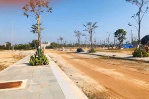 Ninh Bình đấu giá 140 lô đất với giá khởi điểm 12 triệu/m2