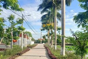 Hà Nội: Sắp đấu giá 28 thửa đất có giá khởi điểm 9 triệu đồng/m2 tại huyện Ứng Hòa