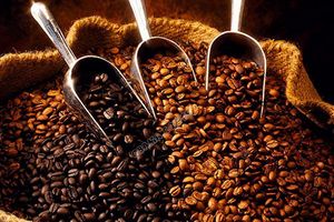 Thị phần cà phê Việt Nam đứng thứ 3 tại thị trường Mỹ