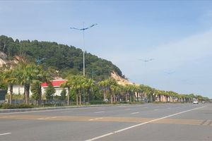VinGroup đề xuất làm dự án công viên rừng 650ha tại Quảng Ninh