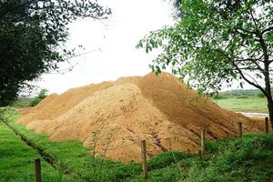 “Móc” hàng trăm khối cát tại nơi sắp làm kè chống sạt lở