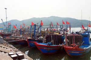 Hỗ trợ tàu cá khai thác thủy sản vùng khơi trên địa bàn tỉnh Nghệ An