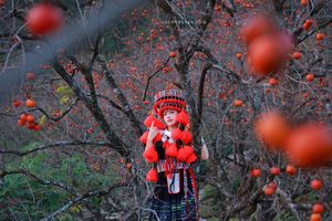 Độc lạ vườn hồng 130 năm tuổi ở núi Đại Huệ