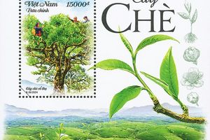 Phát hành bộ tem mới tôn vinh văn hóa thưởng trà Việt