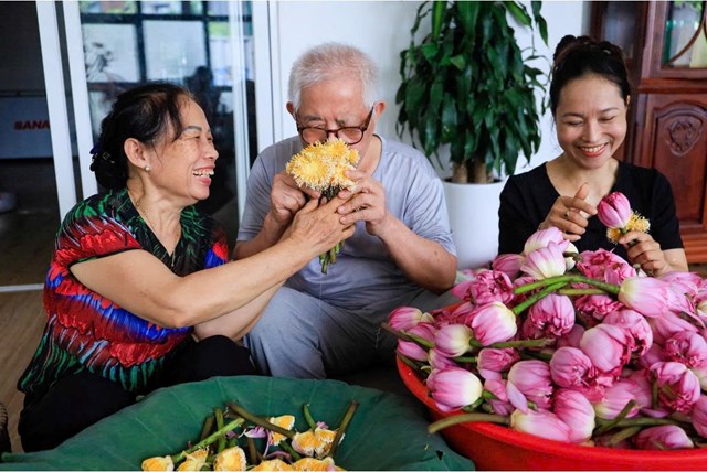 Không phải bất kỳ bông sen nào cũng có thể dùng để ướp trà, bí quyết tinh hoa của nghề nằm ở những “hạt gạo sen”, chứa trọn hương thơm thuần khiết của loài hoa.