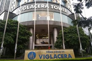 ĐHCĐ Gelex: Đưa ra kế hoạch kinh doanh sau khi hợp nhất với Viglacera