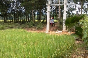 Công nhân tử vong khi thi công đường điện