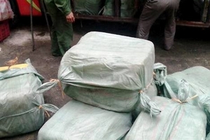 Hà Tĩnh: Bắt xe khách chở  hơn 2 tấn thịt thối vào Nam