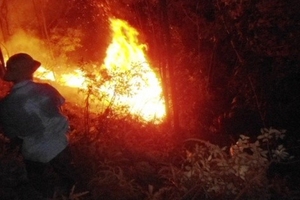 Hà Tĩnh: Hàng chục hecta rừng cháy trụi trong đêm